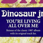 Dinosaur jr - You’Re Living All Over Me - LP uusi - pikkukuva 4