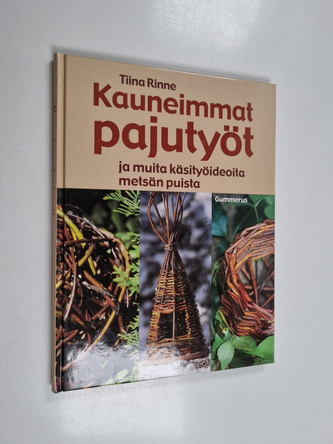 Tiina Rinne : Kauneimmat pajutyöt ja muita käsityöideoita...