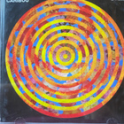Caribou: Swim cd - pikkukuva 1