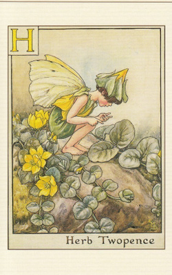 Cicely Mary Barker: Suikeroalpin keiju, kirjain H