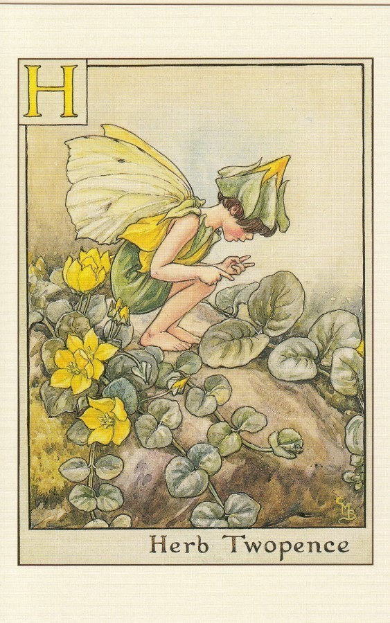 Cicely Mary Barker: Suikeroalpin keiju, kirjain H