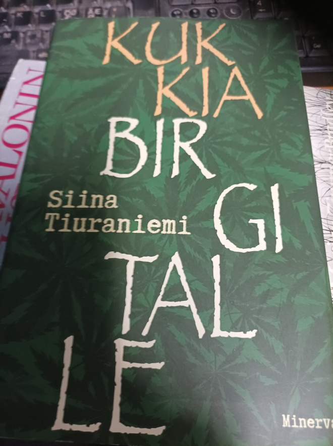 Siina Tiuraniemi Kukkia Birgitalle