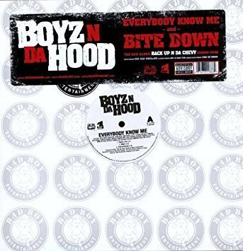 BOYZ N DA HOOD - 12"