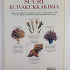 Malcolm Hillier : Suuri kuivakukkakirja : kuivakukkia ja ... - pikkukuva 2