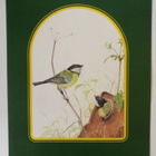 Taidejuliste/art print, 4 kpl lintuaiheisia, T. Lambert - pikkukuva 4