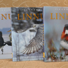 Linnut luonnossa 1-3 - pikkukuva 2