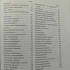 Sampo-kirja askartelukirja - Alvar Wilska (sid.) - pikkukuva 2