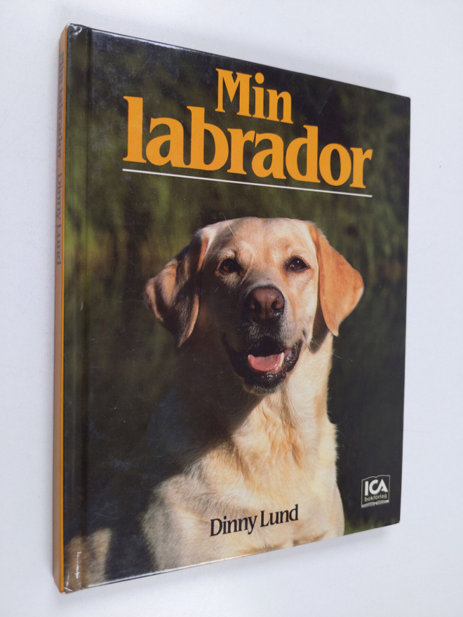 Dinny Lund : Min labrador