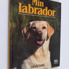 Dinny Lund : Min labrador - pikkukuva 1