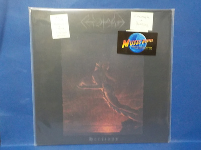 CENOTAPLE - HORIZONS M/M U.S 2019 LP