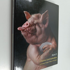 Epica Book 27 : Creative Communications - pikkukuva 1