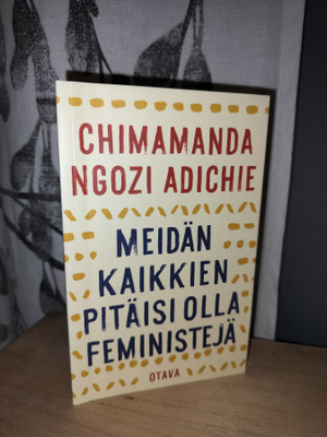 Adichie - Meidän kaikkien pitäisi olla feministejä