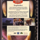 dvd, Bengalin tiikeri - UUSI / New [luontodokumentti] - pikkukuva 2