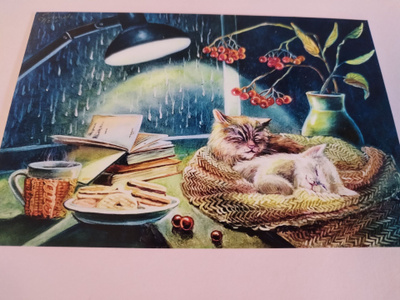 Kissa kortti,kulkematon.
