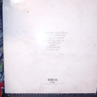 2LP Damien Rice : My favourite faded fantasy ( UUSI ) SIS PK - pikkukuva 2