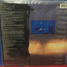 The Jeff Healey Band – Feel This EX+/EX- LP - pikkukuva 2