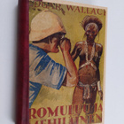 Edgar Wallace : Romuluu ja mehiläinen : seikkailuja pimeä... - pikkukuva 1