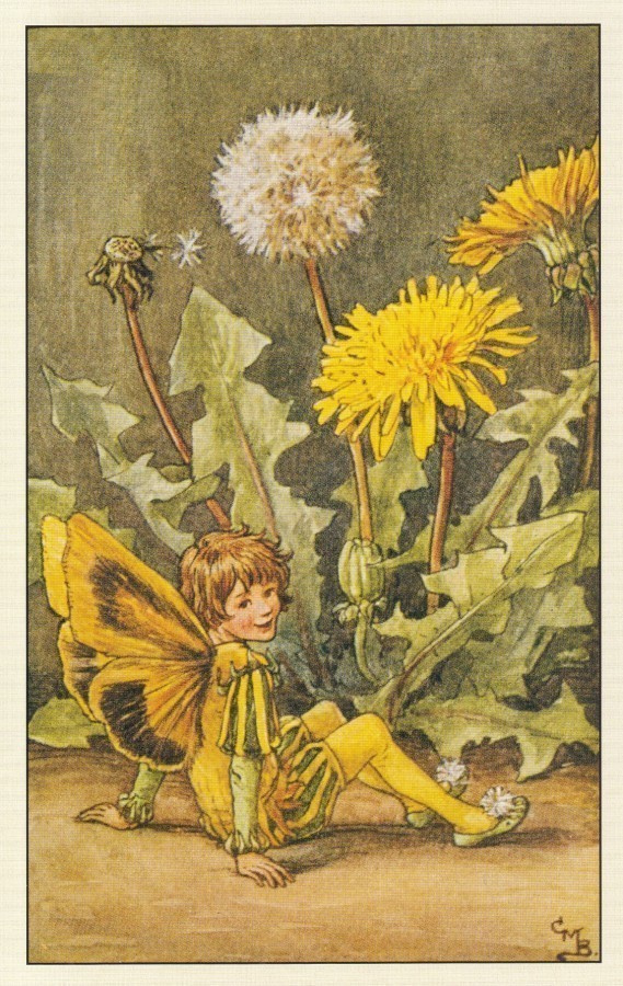 Cicely Mary Barker: Kukkakeijut voikukka
