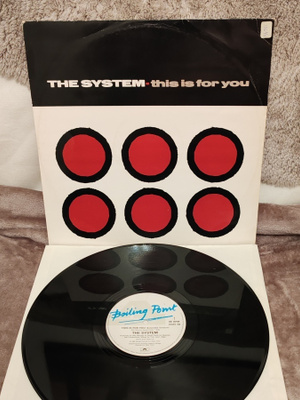 The System This Is For You 12"