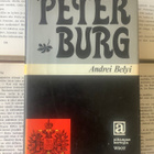 Andrei Belyi - Peterburg (sid.) - pikkukuva 1