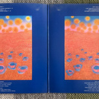 EMTIDI: Saat (LP) 1972 - pikkukuva 2