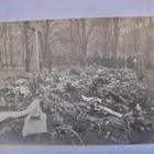VANHA Valokuva Helsinki Saksalaisten Hautajaiset 1918 - pikkukuva 1