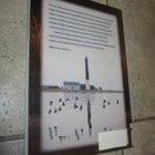 Viron linnut : havainnot 1990-2010 ; Timo Pettay - pikkukuva 2