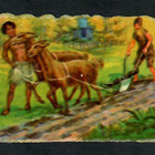 Wanha - Satunelkku - Robinson Crusoe 1 - 1900-luvun alku - pikkukuva 1