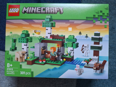 Lego Minecraft 21593 First Night Adventure