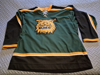 Ilves fanipaita: 41 Helminen