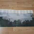 Riccardo Cocciante – Cervo A Primavera lp 1980 Chanson, Pop - pikkukuva 2