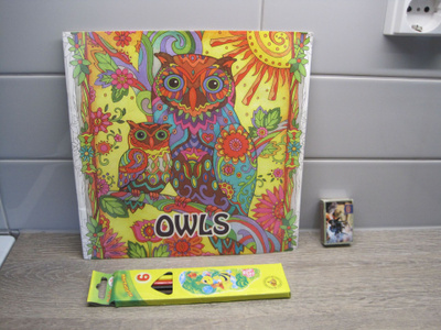 PÖLLÖ (owls) VÄRITYSKIRJA
