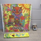 PÖLLÖ (owls) VÄRITYSKIRJA - pikkukuva 1