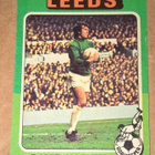 PELAAJA KORTTI JALKAPALLO DAVID HARVEY 102 LEEDS - pikkukuva 1