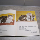 TAMMEN KULTAISET KIRJAT, PIKKU MIRREN SEIKKAILU no 60 - pikkukuva 3