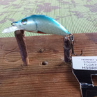 Salmo  Hornet Floating 3SRF 3,5cm DB - pikkukuva 2