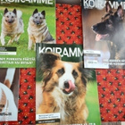 6 kpl hienokuntoisia Koiramme-lehtiä vv. 2019-2020 - pikkukuva 4
