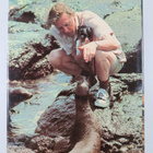 David Attenborough : Elävä maa - pikkukuva 2