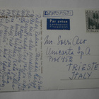 Meck-siilianimaatio, siilipariskunta istuu, p. 1960 Italiaan - pikkukuva 2