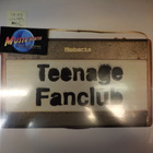 TEENAGE FANCLUB - RADIO EX+/M- U.K 1993 LP - pikkukuva 1