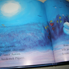 Jane Simmons Aurora ja kuu - pikkukuva 4
