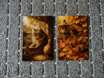 ~Kissa kortti~ 2kpl