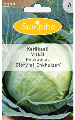 Keräkaali siemenet - GLORY OF ENKHUIZEN #