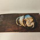 Neil Young Harvest lp-levy - pikkukuva 5
