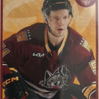Juha Jääskä 25-26 Chicago Wolves - pikkukuva 1