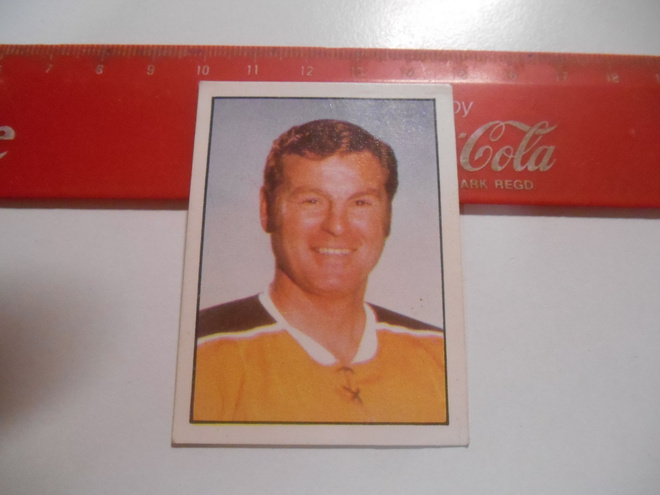 SEMIC  Olympia-MM-72 #177 Earl Ingarfield  NHL