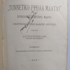 Ludvig Schneller : Tunnetko pyhää maata? : kuvauksia luva... - pikkukuva 3