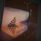 Peilikuvia: Suomalaisen metalligrafiikan murros... *Sis.pk:t - pikkukuva 1