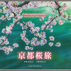 Mizuno : Embracing Sakura in Kyoto (2017) - pikkukuva 1
