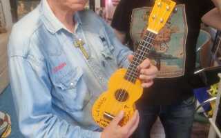 Hyväntekeväisyyshuuto! Ile Vainion signeeraama ukulele!